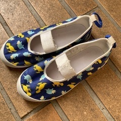 上靴　保育園　18センチ　恐竜