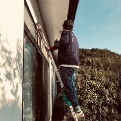 屋根作業のお手伝い。の画像