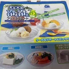 未使用品 デザート お刺身などに！ 凍るお皿 5枚組 フリーズプレート 冷え冷え 箱入り ③の画像