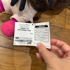 くまのがっこう ジャッキー BIGぬいぐるみの画像