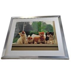 中古、アンティーク、5キャットフォト(256),横39cmx縦35cm