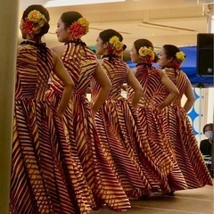 【木更津・金田】フラダンス経験者向けクラス募集中の画像