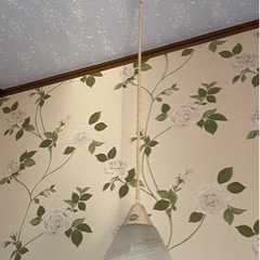 家具 照明器具