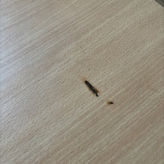 こたつ　約100✖️60✖️20の画像