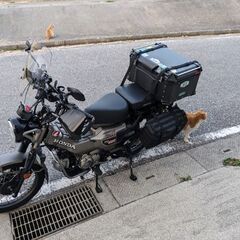 HONDA　CT-125（JA65）ハンターカブ