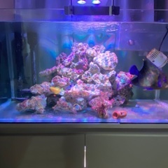 90cm熱帯魚水槽セットの画像