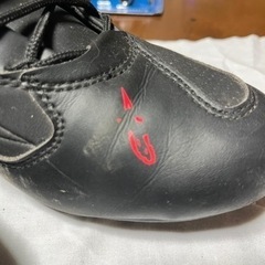 アルパインスターズ　ファスター3の画像