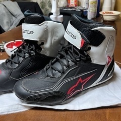 アルパインスターズ　ファスター3