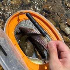 釣り友達募集