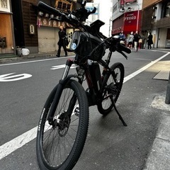 電動自転車海外物