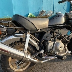 美品‼︎　HONDA ゴリラ　Ｚ５０の画像