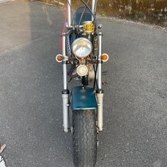 希少‼︎1976年式 ノーティーダックスの画像