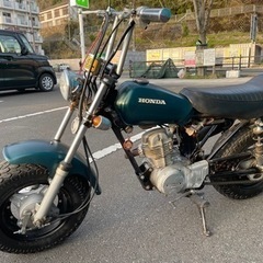 希少‼︎1976年式 ノーティーダックスの画像