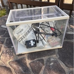 水槽セット