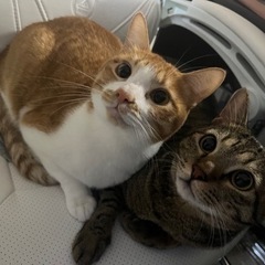 決まりました！ありがとうございました！