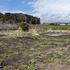 家庭菜園やりませんか？