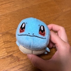 ゼニガメぬいぐるみの画像