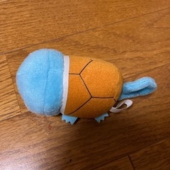ゼニガメぬいぐるみの画像
