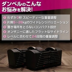 ダンベル 26kg×2 ベンチ ブロックダンベル トレーニングベンチの画像