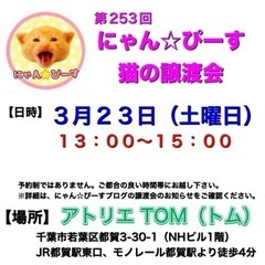 3月23日(土)🌸にゃん☆ぴーす猫の譲渡会🌸「アトリエTOM」J...