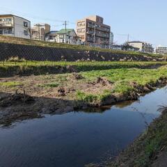 3月24日　摂津市大正川の清掃活動（ゴミ拾い）