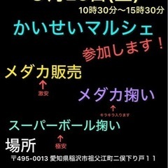 メダカイベント　マルシェ！！