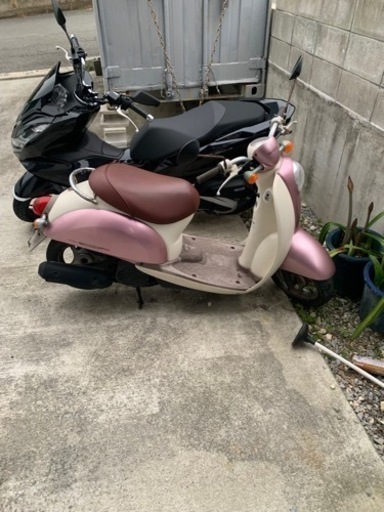 クレア　スクーピー