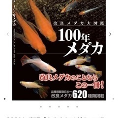 100年メダカ　めだかの館カタログ
