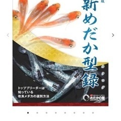 めだかの館発行　めだかなカタログ