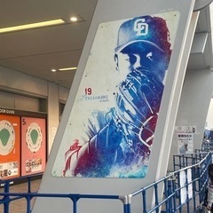 ドラゴンズファンイベントサークル花見会‼️ - メンバー募集