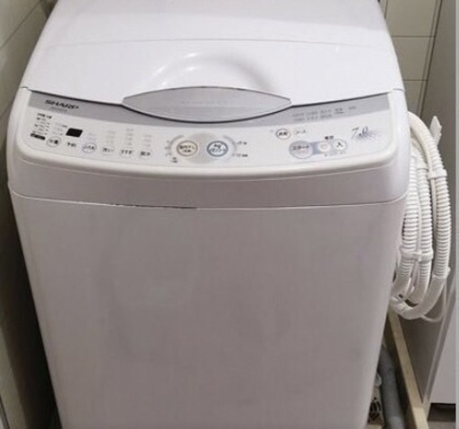 家電 生活家電 洗濯機