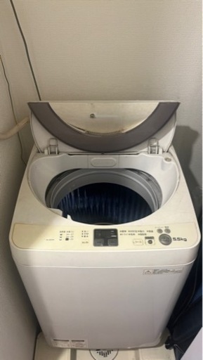家電 生活家電 洗濯機