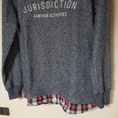 レディース　Lサイズ　カットソーの画像