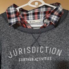 レディース　Lサイズ　カットソーの画像