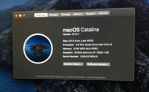 Apple iMac 21.5-inch, Late 2013 - 2,9GHz Quad Core i5, Nvidia GT 75