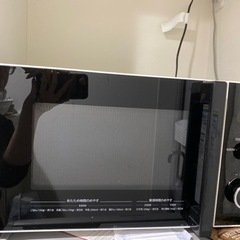 家電 キッチン家電 電子レンジ