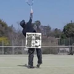 ソフトテニスの仲間募集