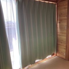 ニトリ遮光カーテン　　