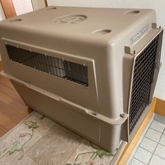 バリケンネルの画像