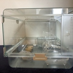 【お引き取り予定の方決まりました・値下げ】グラスハーモニー600プラス　ハムスターケージ＋付属品付き　の画像