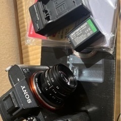 ソニーα7ii 