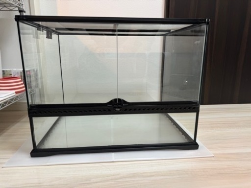 グラステラリウム　6045