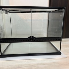 グラステラリウム 6045