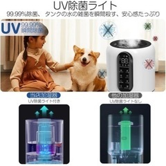 Santora 加湿器 5L 大容量 卓上 超音波 UV除菌 次亜塩素酸水対応の画像