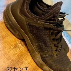 NIKEのスニーカー靴/バッグ 靴 スニーカーの画像
