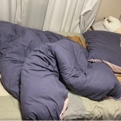 ベッド(白 )サイズ120cm✖️200cm