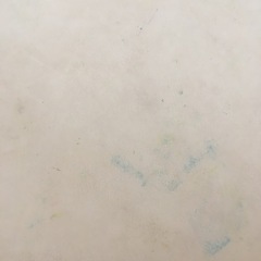 Carazカラズ　マット　２枚セットの画像