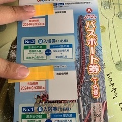 ナガシマスパーランドのパスポート券&共通金券1枚