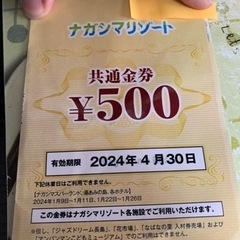 ナガシマスパーランドのパスポート券&共通金券1枚の画像