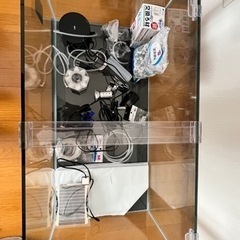 水槽※カメを飼ってましたの画像